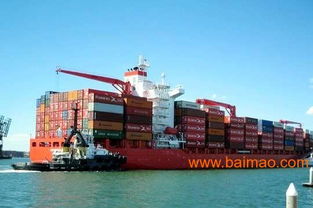 深圳、佛山、廣州至沙特利雅得國際貨運代理全攻略 一站式服務供應商與廠家選擇指南